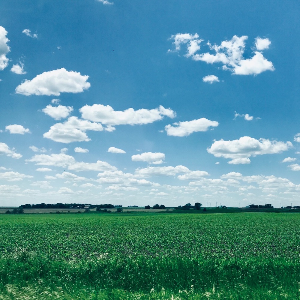 Meet your Posher, Ellen